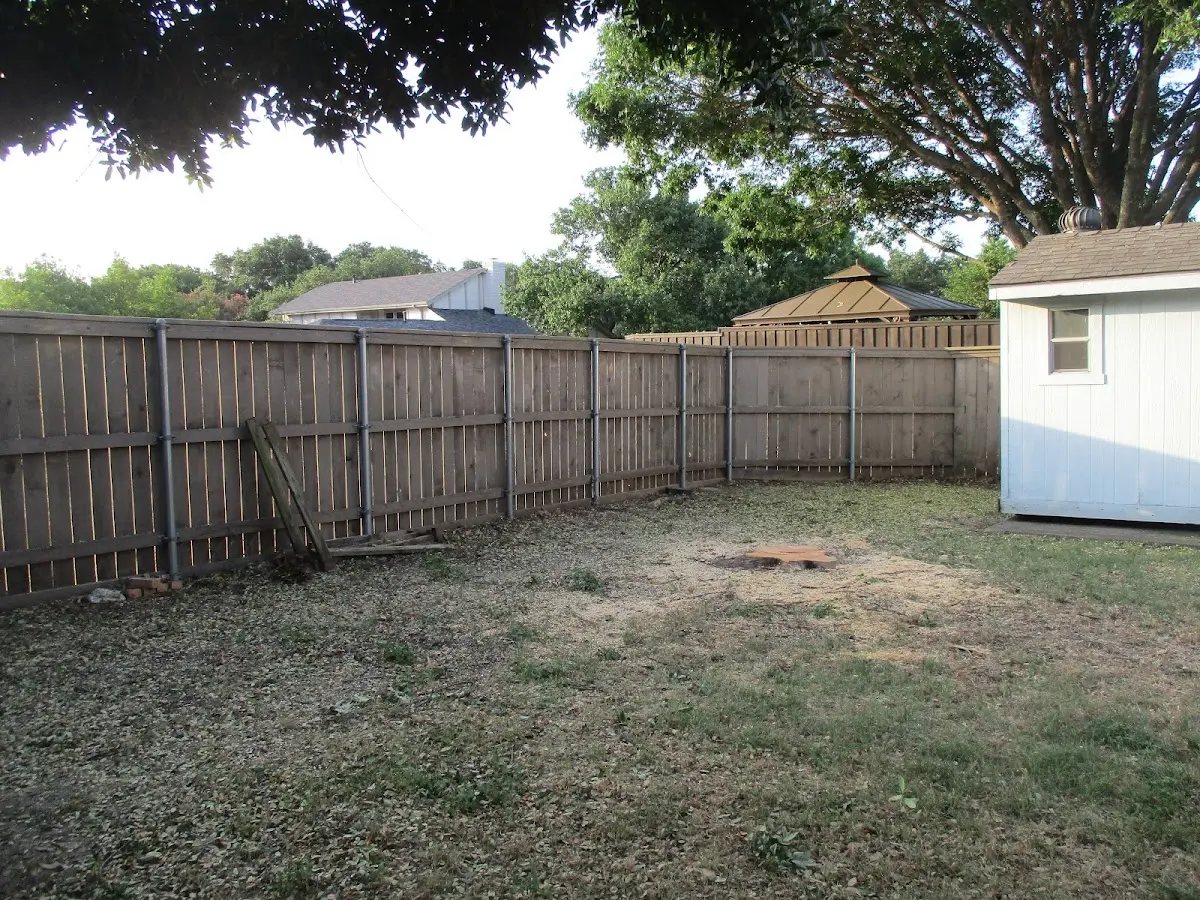 Cleared yard after professional tree removal in Summerland Key